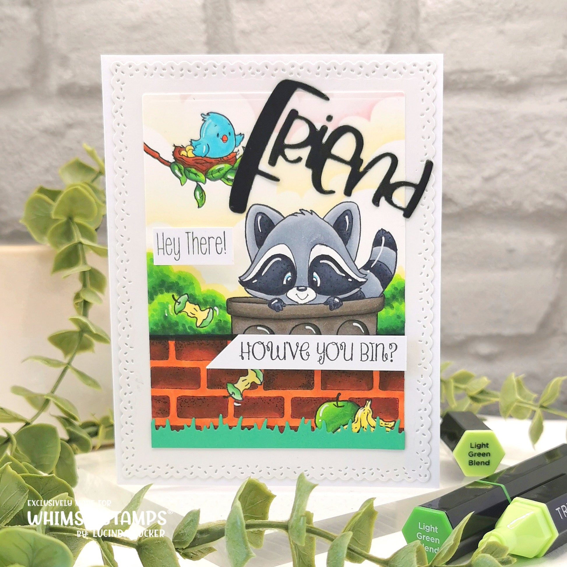 **NEW Raccoon How've You Bin Clear Stamps - Whimsy Stamps