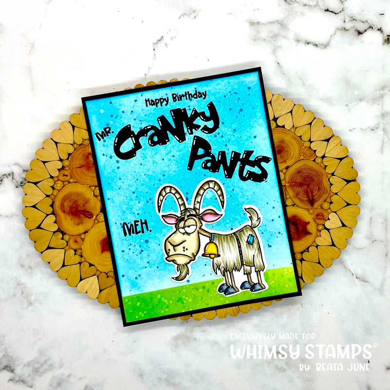 **NEW Cranky Pants Clear Stamps - Whimsy Stamps