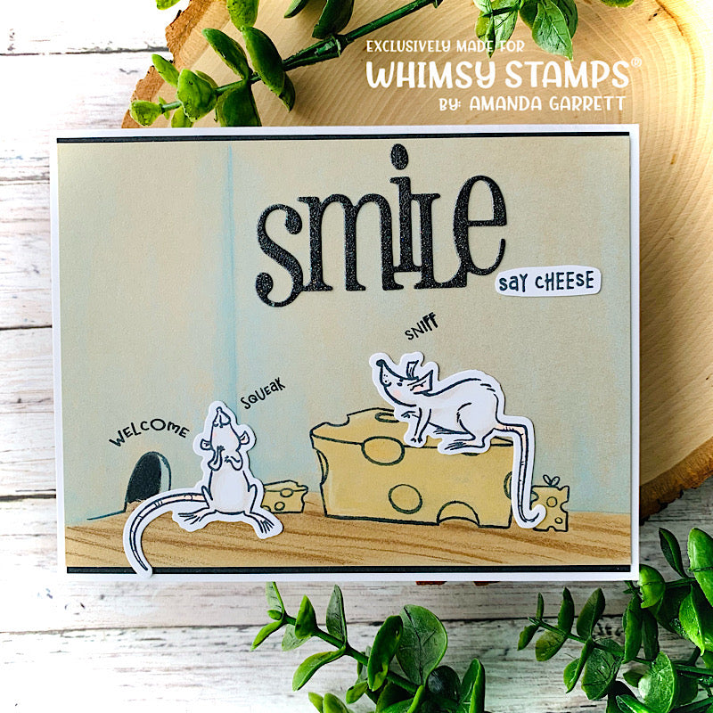 Say Cheese Clear Stamps - Whimsy Stamps