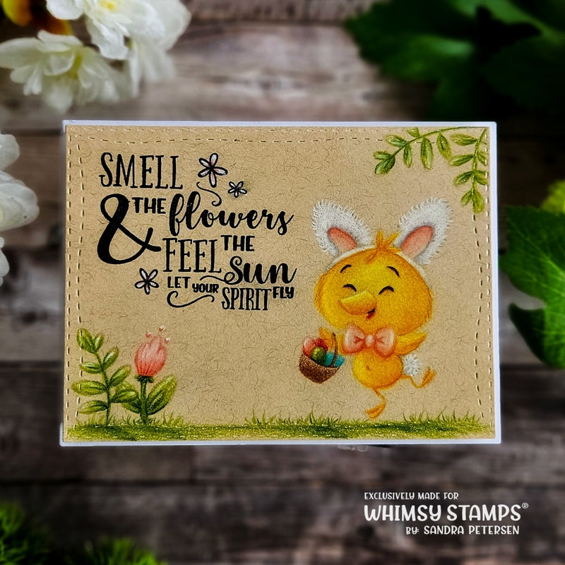 Spring Chicks Clear Stamps - Whimsy Stamps