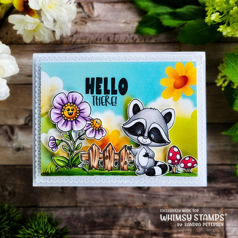 Raccoon Happy Day Clear Stamps