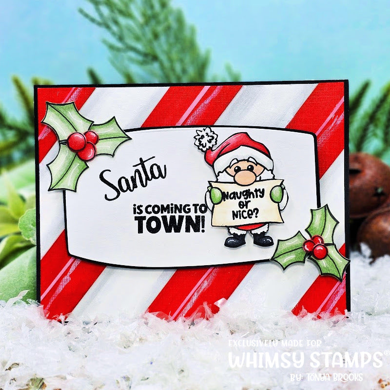 **NEW Santa Comes to Town Clear Stamps