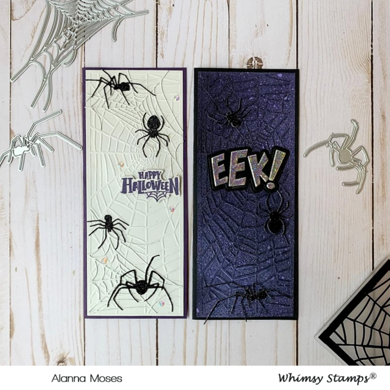 Slimline Embossing Folder - Broken Web - Whimsy Stamps