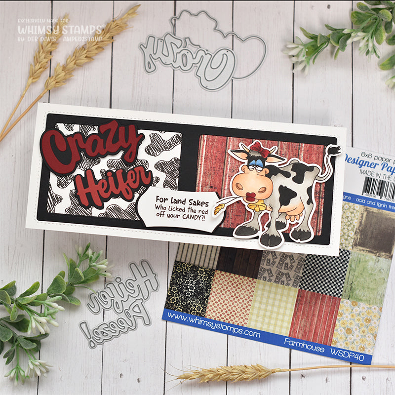 **NEW Crazy Word Die - Whimsy Stamps