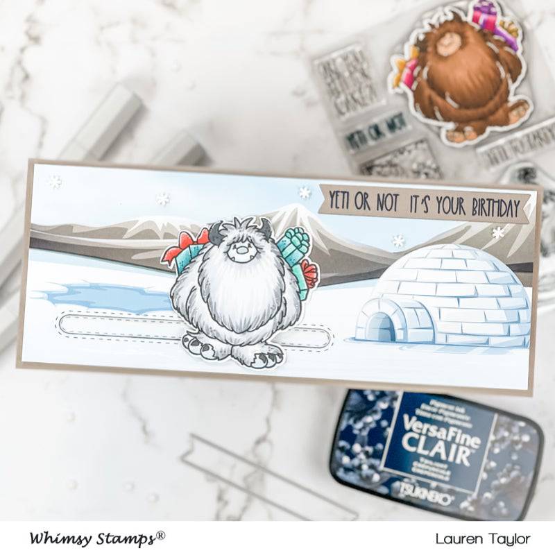 Slimline Paper Pack - Frozen - Whimsy Stamps